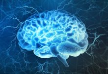 Фото - Ученые создали искусственный мозг с шизофренией