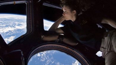 Фото - Тошнит и кружится голова: честные отзывы о космическом туризме