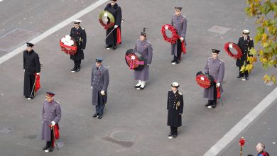 Фото - Королевская семья Великобритании на параде в честь Дня памяти в Лондоне