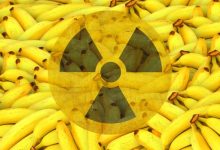Фото - Правда ли, что бананы радиоактивны и опасны для здоровья
