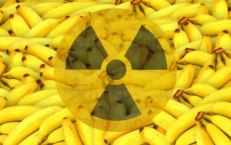 Фото - Правда ли, что бананы радиоактивны и опасны для здоровья